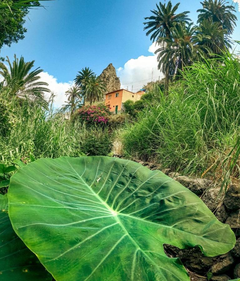 Casa Buganvilla Эрмигва Экстерьер фото